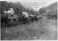mormon migration pioneers
